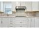 Kitchen featuring stainless steel hood vent over cooktop and light brick backsplash at 1565 Hyssop Loop, North Port, FL 34289