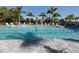 Community pool with clear water, poolside lounge chairs, and palm trees at 18002 Franklin Park Ct, Venice, FL 34293