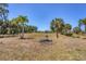 Large grassy backyard with a rock grill, offering an ideal space for outdoor gatherings at 194 Sportsman Rd, Rotonda West, FL 33947