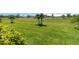 Expansive backyard featuring lush green grass and manicured landscaping at 24153 Spartina Dr, Venice, FL 34293