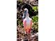 Roseate Spoonbill in the bushes on the beautiful property! at 2542 Cortenova Ct, Venice, FL 34292