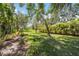 Expansive backyard featuring lush greenery and mature trees offering serene views at 269 Southampton Dr # 303, Venice, FL 34293