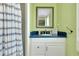 Bright bathroom with blue-accented vanity, a shower featuring a stylish curtain, and fresh, green walls at 553 Circlewood Dr # T11, Venice, FL 34293
