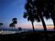 Scenic beach view with palm trees silhouetted against a colorful sunset sky at 700 Golden Beach Blvd # 115, Venice, FL 34285