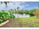 Scenic backyard featuring a peaceful pond bordered by vibrant vegetation and rock landscaping at 990 Sea Fox Rd, Venice, FL 34293
