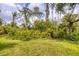 Lush backyard with vibrant green grass and dense foliage, providing a serene and private outdoor space at 1241 Creek Nine Dr, North Port, FL 34291