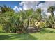 Lush backyard featuring palm trees and the screened in pool at 13150 Huerta St, Venice, FL 34293