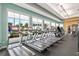 Bright fitness center features treadmills overlooking palm trees and a resort-style pool at 13511 Esposito St, Venice, FL 34293
