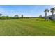 Expansive backyard with lush lawn, mature trees, and well-maintained landscaping, perfect for outdoor activities at 17324 Sandpearl Rd, Venice, FL 34293