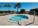 Community hot tub and lounge area surrounded by palm trees and greenery at 20188 Tesoro Dr, Venice, FL 34293