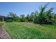 Large, well-maintained backyard showcasing the expansive lawn and mature trees at 264 Caserta Ct, Nokomis, FL 34275