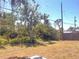 Private backyard with mature trees offering shade and seclusion for relaxation and outdoor enjoyment at 407 Bahama Rd, Venice, FL 34293