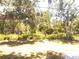 Private backyard with mature trees offering shade and seclusion for relaxation and outdoor enjoyment at 407 Bahama Rd, Venice, FL 34293