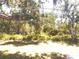 Expansive backyard with mature trees that provide excellent privacy and shade at 407 Bahama Rd, Venice, FL 34293