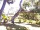 Spacious backyard with mature landscaping, offering privacy and a serene outdoor setting at 407 Bahama Rd, Venice, FL 34293