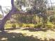 Expansive backyard with mature trees that provide excellent privacy and shade at 407 Bahama Rd, Venice, FL 34293