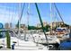 Scenic marina with multiple sailboats docked, complemented by city views at 5632 Long Shore Loop, Sarasota, FL 34238