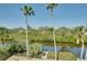 Stunning water view with a private dock surrounded by lush vegetation and tall palm trees at 610 Alligator Dr, Venice, FL 34293