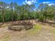 Wooden round pen surrounded by lush trees offering a peaceful equestrian setting at 6824 283Rd E St, Myakka City, FL 34251
