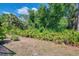 Image showcases a lush, green backyard at 11186 Batello Dr, Venice, FL 34292