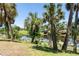 Scenic waterfront view with swaying palm trees and a tranquil pond at 1124 W Hillsborough Blvd, North Port, FL 34288