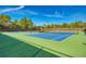 Well-maintained community tennis courts for friendly matches and active living at 11437 Dancing River Dr, Venice, FL 34292