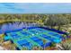 Aerial view of the pickleball courts next to a lake, shaded seating, and a beautiful tree line at 11455 Fort Lauderdale Pl, Venice, FL 34293