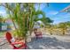 Backyard featuring Adirondack chairs and tropical palms, creating a relaxing outdoor retreat at 13648 Clara Ln, Port Charlotte, FL 33981