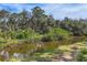 Scenic water view featuring a calm canal surrounded by lush greenery and mature trees at 140 Hermes Rd, Venice, FL 34293