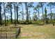 Large grassy backyard with mature pines at 14124 Kewanee Ln, Port Charlotte, FL 33981