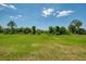 Vast, green backyard with native grasses and trees in a lush setting at 17515 Jadestone Ct, Venice, FL 34293