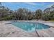 Backyard pool surrounded by beautiful greenery and trees at 181 S Auburn Rd, Venice, FL 34292