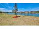 A young tree stands near a pond that reflects the clear blue sky with a lawn in the foreground at 20390 Lagente Cir, Venice, FL 34293