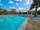 Community pool and clubhouse with lounge chairs and tropical landscaping on a bright, sunny day at 220 Sarezzo Cir, Nokomis, FL 34275