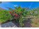 Landscaped backyard with bougainvillea and palm trees at 2318 Harrier Way, Nokomis, FL 34275