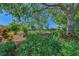 Lush backyard featuring mature trees and tropical plants at 2318 Harrier Way, Nokomis, FL 34275