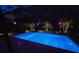 Screened pool at night with blue pool lights and colored spotlights on palm trees at 348 Dorchester Dr, Venice, FL 34293