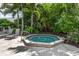 Community hot tub surrounded by lush tropical landscaping offering privacy for residents at 553 Fallbrook Dr, Venice, FL 34292