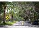 A scenic street view with sidewalks and lush mature trees creating a beautiful canopy at 872 Macaw Cir, Venice, FL 34285