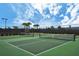 Outdoor pickleball courts surrounded by lush greenery under a bright blue sky at 10618 Corkwood Ct, Venice, FL 34293
