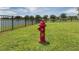 A bright red fire hydrant stands on a grassy lawn near a tranquil pond and fence at 10618 Corkwood Ct, Venice, FL 34293