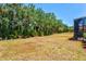 Large backyard is perfect for outdoor activities and features landscaping and a screened patio at 12478 Sagewood Dr, Venice, FL 34293