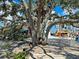 Lush town center featuring a sprawling oak tree, casual seating, and a lively atmosphere at 12478 Sagewood Dr, Venice, FL 34293