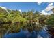 Reflective waterway surrounded by lush trees and foliage, offering a serene and picturesque view at 1320 Whispering Ln, Venice, FL 34285
