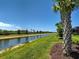 Scenic backyard view featuring a lush green lawn leading to a peaceful canal lined with mature palm trees at 13731 Vadini St, Venice, FL 34293