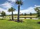 Lush green lawn and tranquil water views framed by mature palm trees create a serene backyard oasis at 13731 Vadini St, Venice, FL 34293