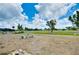Backyard featuring green space and mature trees, providing a peaceful and private outdoor area at 144 Rotonda Cir, Rotonda West, FL 33947