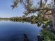 Tranquil river view showcasing lush vegetation, still water, and an overhanging tree branch at 3255 Tally Ho Rd # 1, North Port, FL 34291