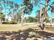 A peaceful park scene with mature trees and open space at 525 Manatee Ct # 13, Venice, FL 34285