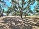 Large trees in a park setting with sunny sky and lush green grass at 525 Manatee Ct # 13, Venice, FL 34285